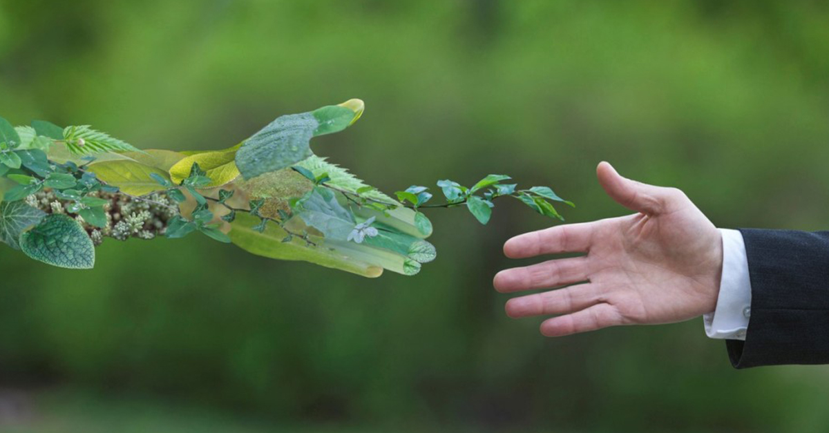 The New Green Deal in Europe: will it be enough?