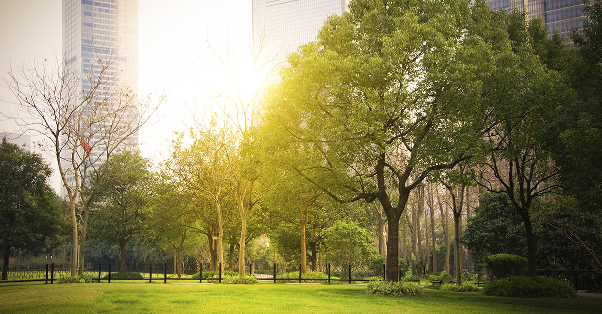 Our grain of sand to a Net Zero society