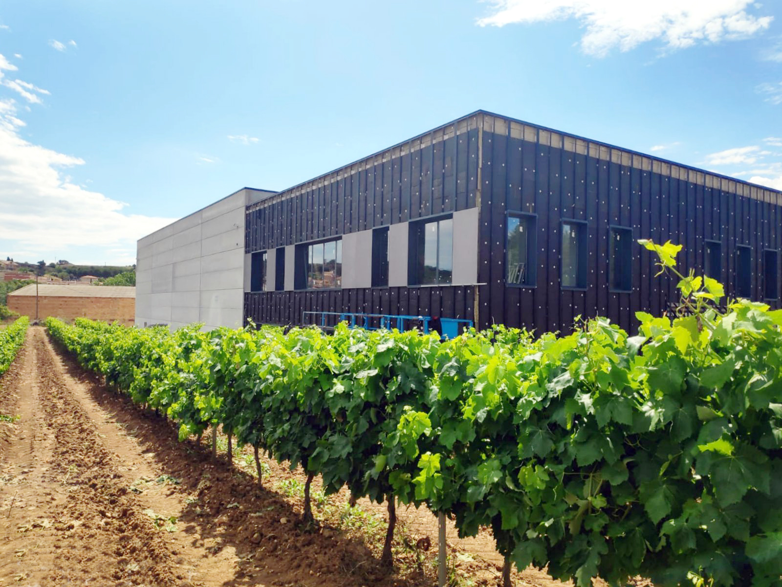 Castell D´Or Winery