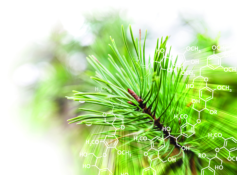 UPM Biochemicals and URSA create sustainable insulation for construction industry